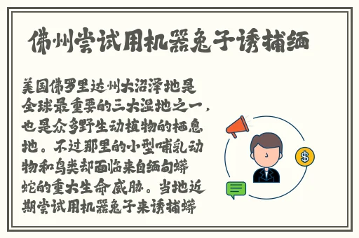 www𠂉片香蕉**在线观看