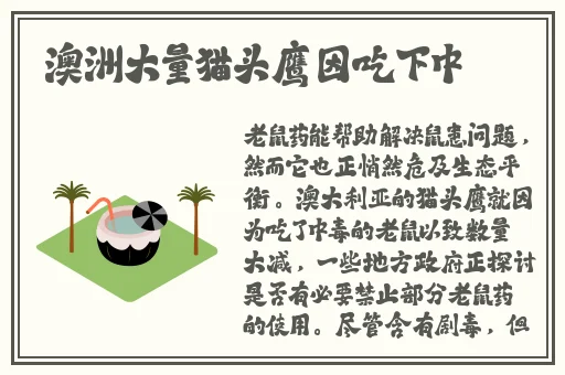 亚洲精品AA片在线观看国产